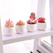 Set of 4 Pink Artificial Succulents in Pots