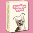 Pawsitive Vibes Inspirational Cat Cards